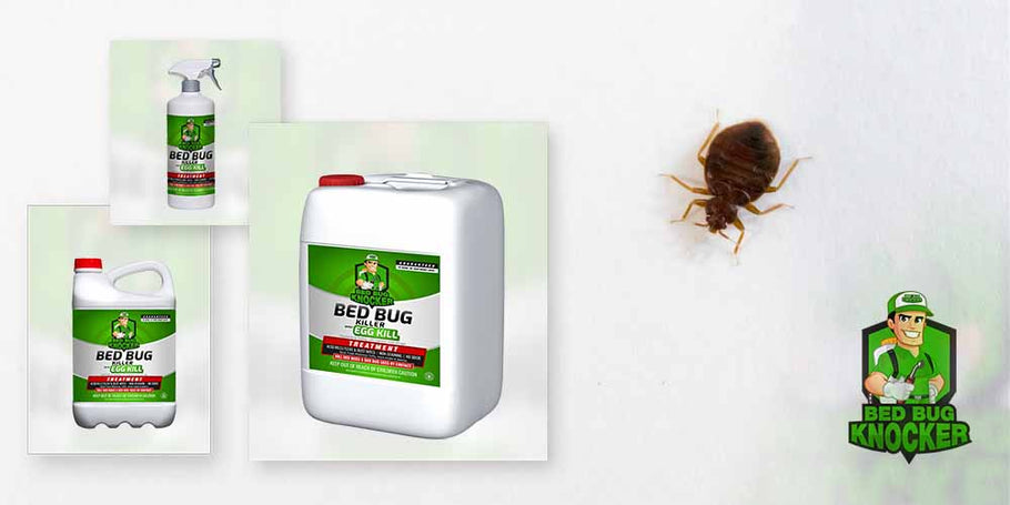 Miksi valita Bed Bug Knocker -luotikarkotteen?